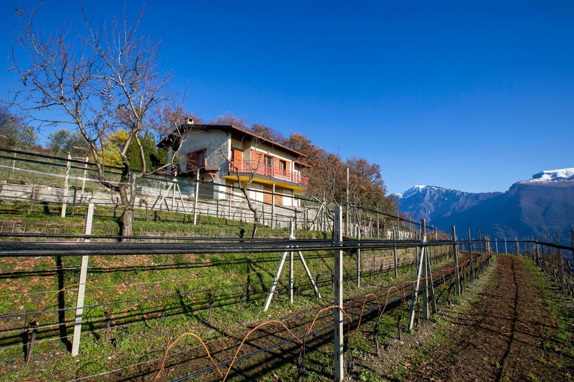 Balcone Panoramico Sul Garda - Happy Rentals Tremosine 外观 照片